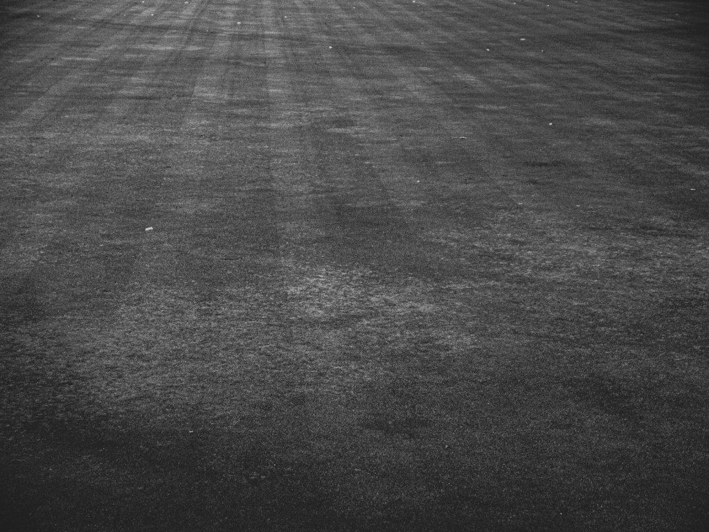 Black-and-white photo of a freshly mown lawn with parallel mowing stripes